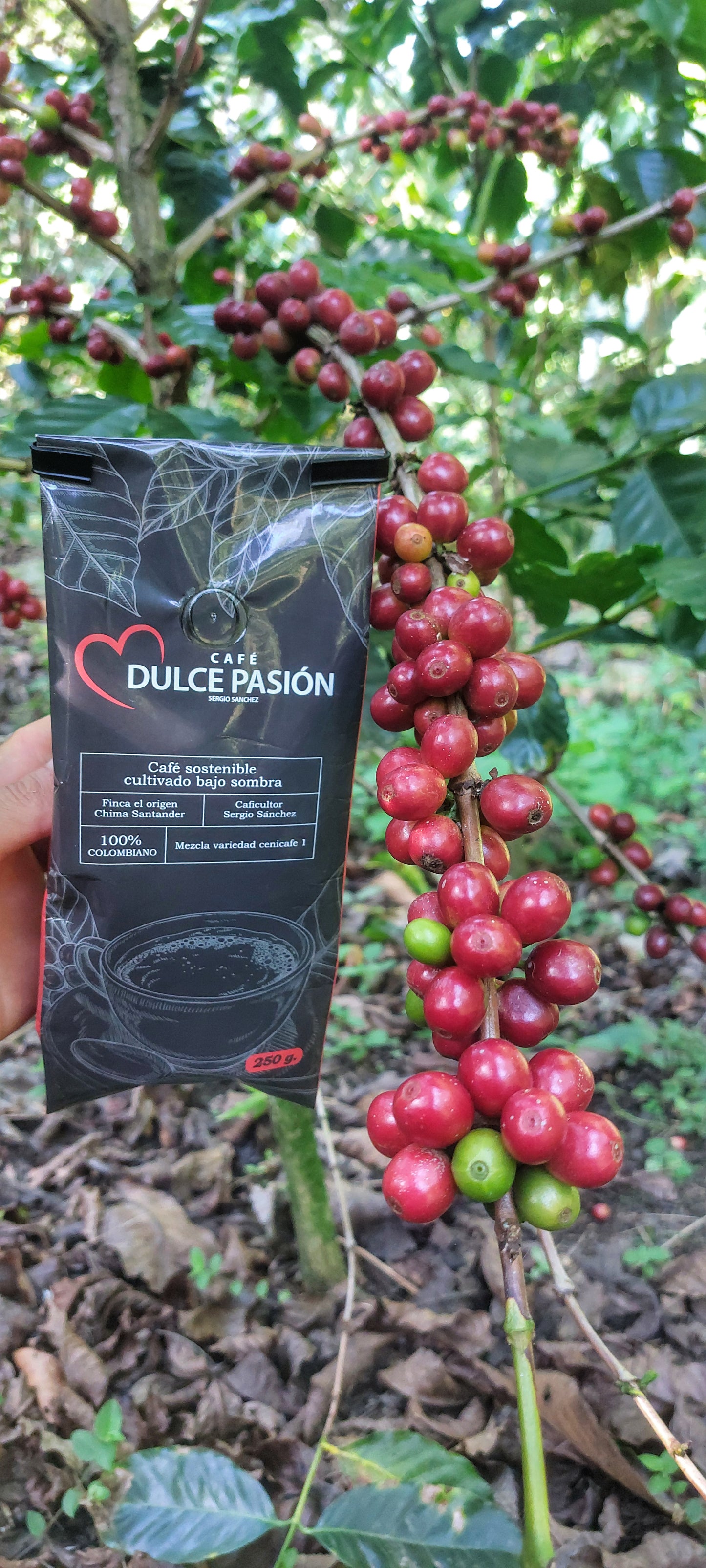 Café Dulce pasión ☕🔥